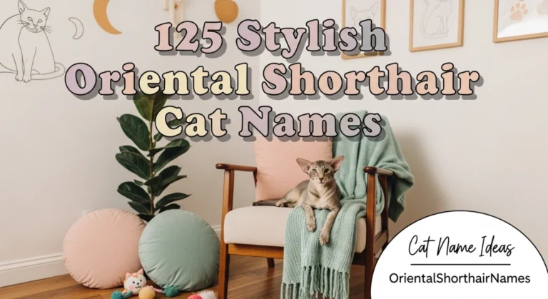 125 Stylish Oriental Shorthair Cat Names