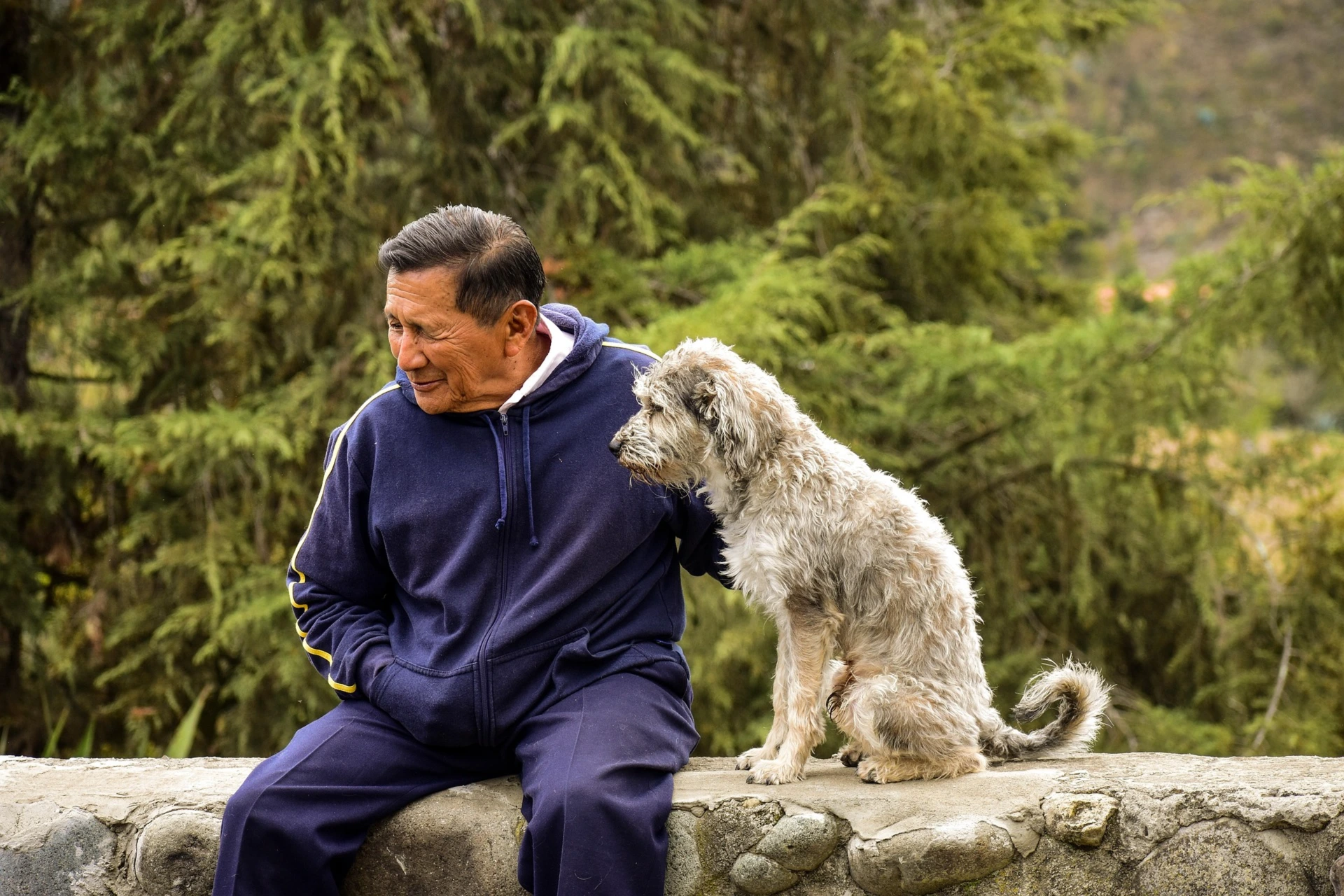 119+ Charming Old Man Dog Names