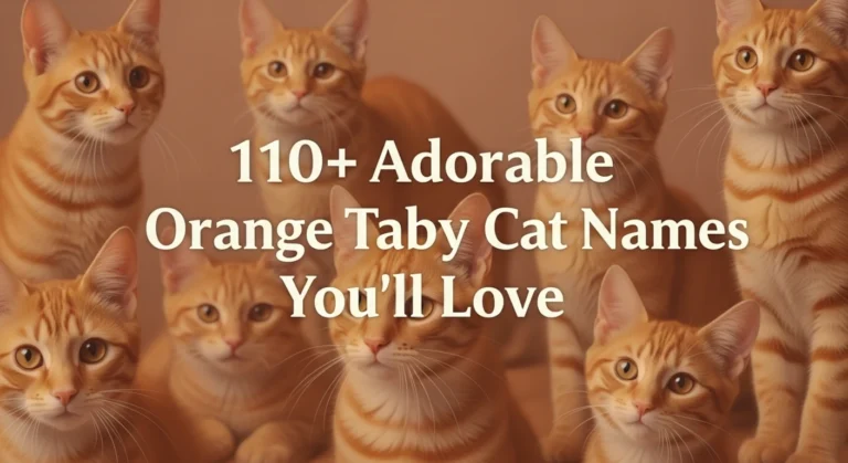 110+ Cute Orange Tabby Cat Names You’ll Instantly Love